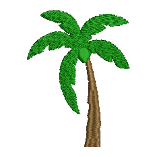 Palm Tree 13525