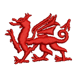 Welsh Dragon 12794