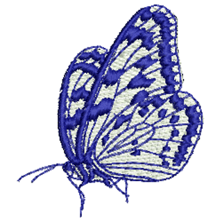 Butterfly 10354