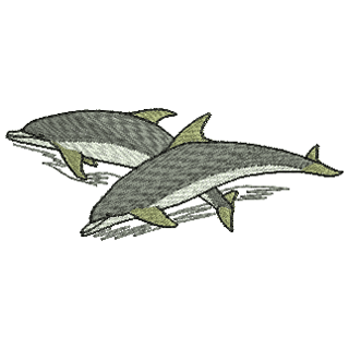 Dolphin 20638