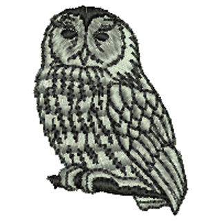 Owl 10388