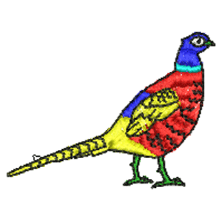 Pheasant 10784