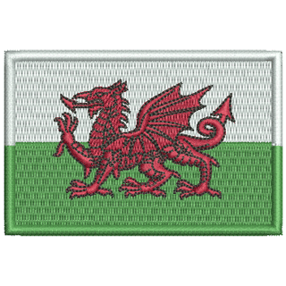 Wales Flag Large 11489