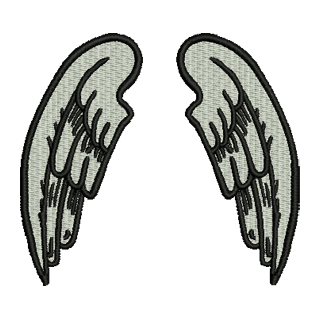Angel Wings 14208