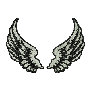 Angel Wings 14209