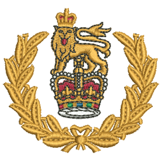 Army Female Boxing 11528