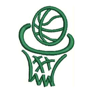 Basketball & Net 13401