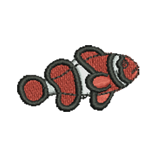 Clown Fish 11210