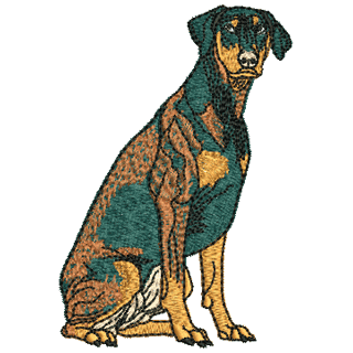 Doberman 12052