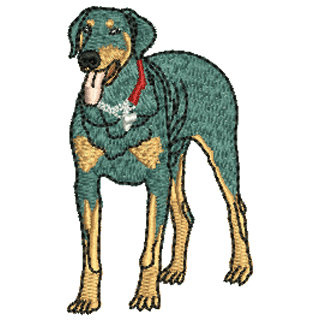 Doberman Dog 12331