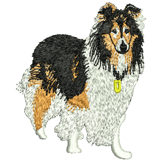 Dog Collie 12551