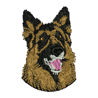 German Shepherd 12729