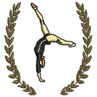 Gymnastics 12107