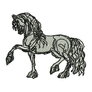 Horse 13835