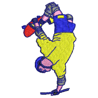 Skate Boarding 20048