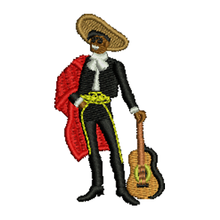 Spanish Guitaist 12776