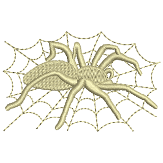 Spider 12478