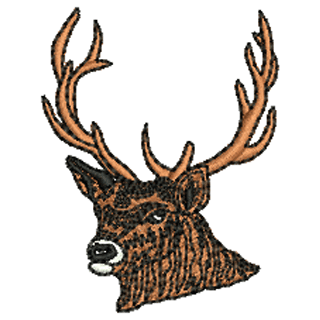 Stag 12485