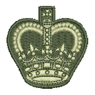 Warrent Officer Class 3 13535