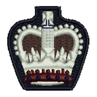 Warrent Officer Class 3 13537