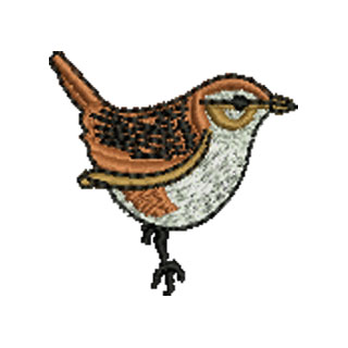 Wren 12921