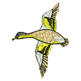 Bird 10832