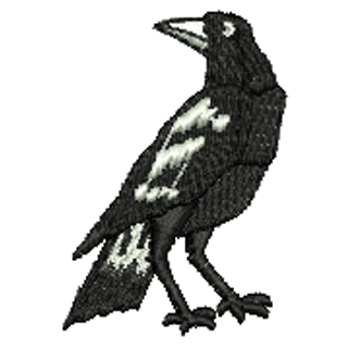 Bird 10897