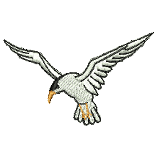 Bird 10999