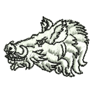 Boar 10981
