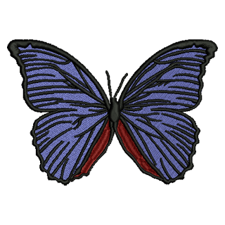 Butterfly Large 11203