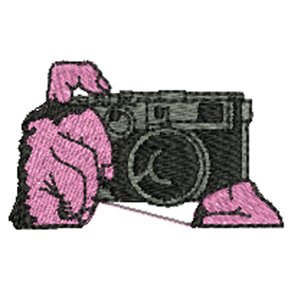 Camera 10531