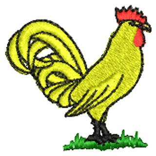Chicken 10206