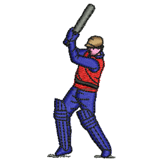 Cricket 20029