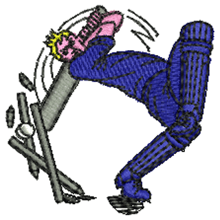 Cricket 20031