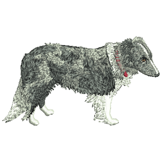Dog 12335