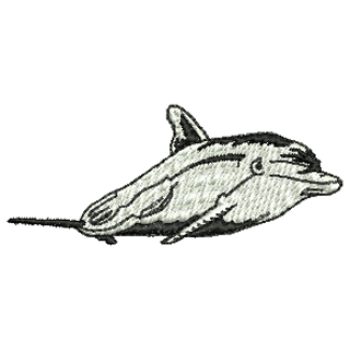 Dolphin 10905