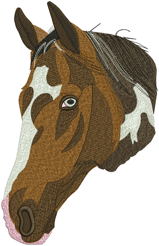 Horse 10022