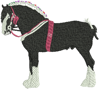 Horse 10026