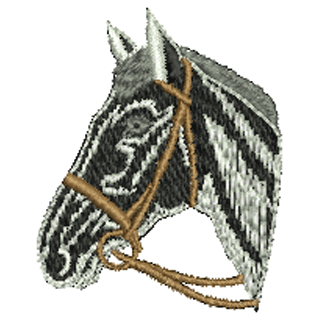 Horse 10533
