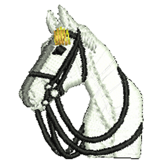 Horse 10963