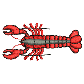 Lobster 10645