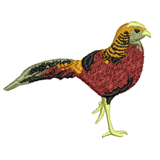 Pheasant 12171