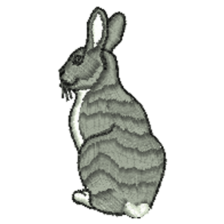 Rabbit 20645