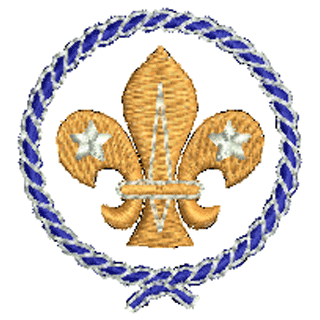 Scouts 10504