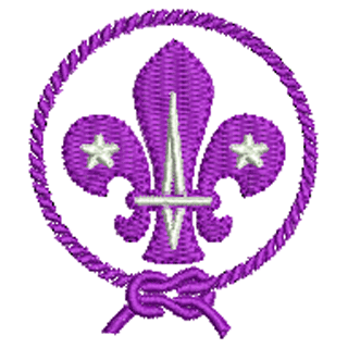 Scouts 12466