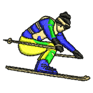 Skiier 10937
