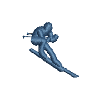 Skier 12221