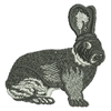 Bunny Rabbit Large 11199