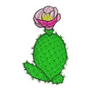Cactus13037