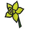 Daffodil 12694